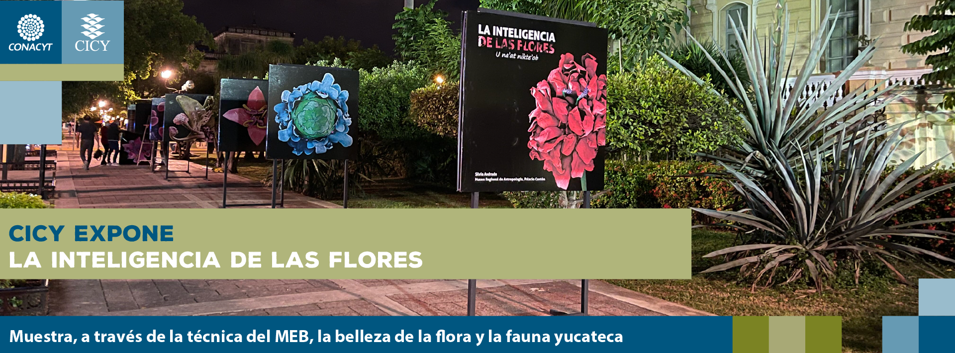 CICY expone La inteligencia de las flores