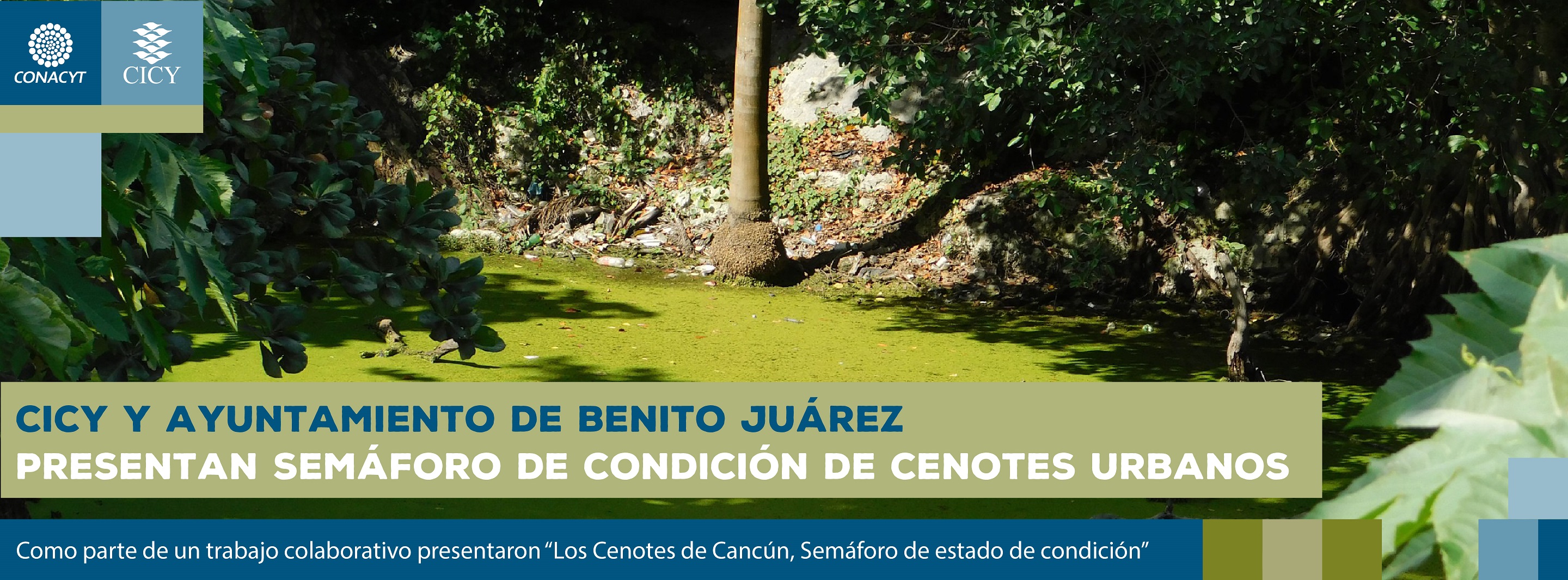 CICY y Ayuntamiento de Benito Juárez presentan Semáforo de condición de cenotes urbanos