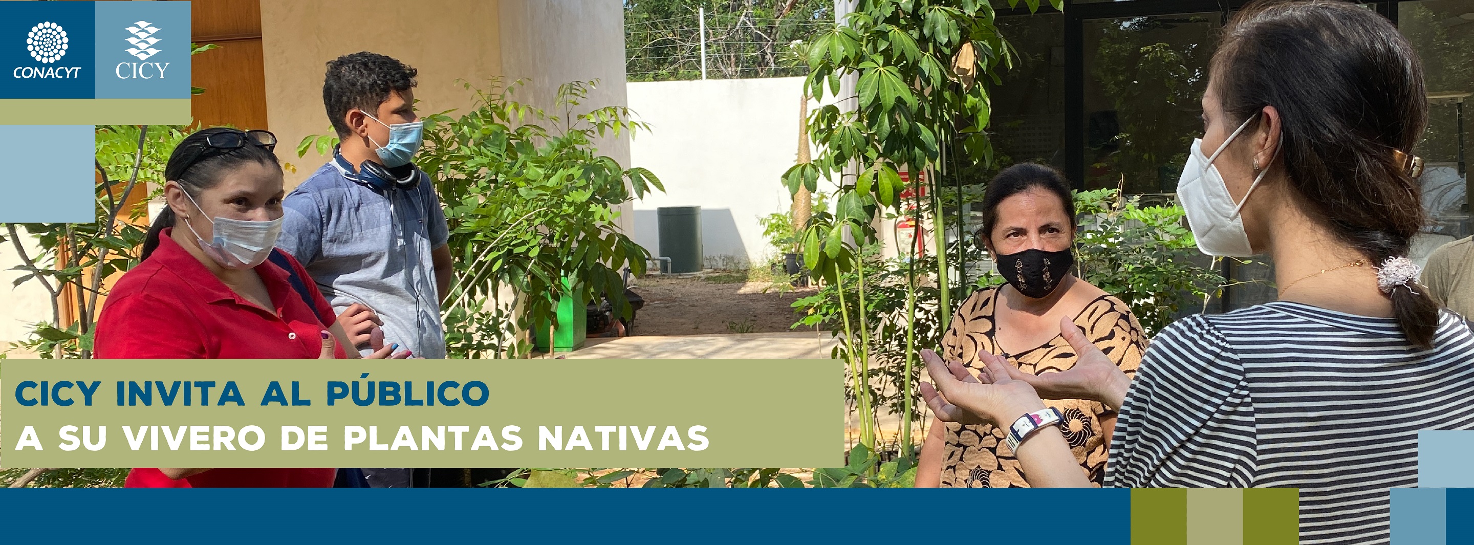 CICY invita al público a su vivero de plantas nativas