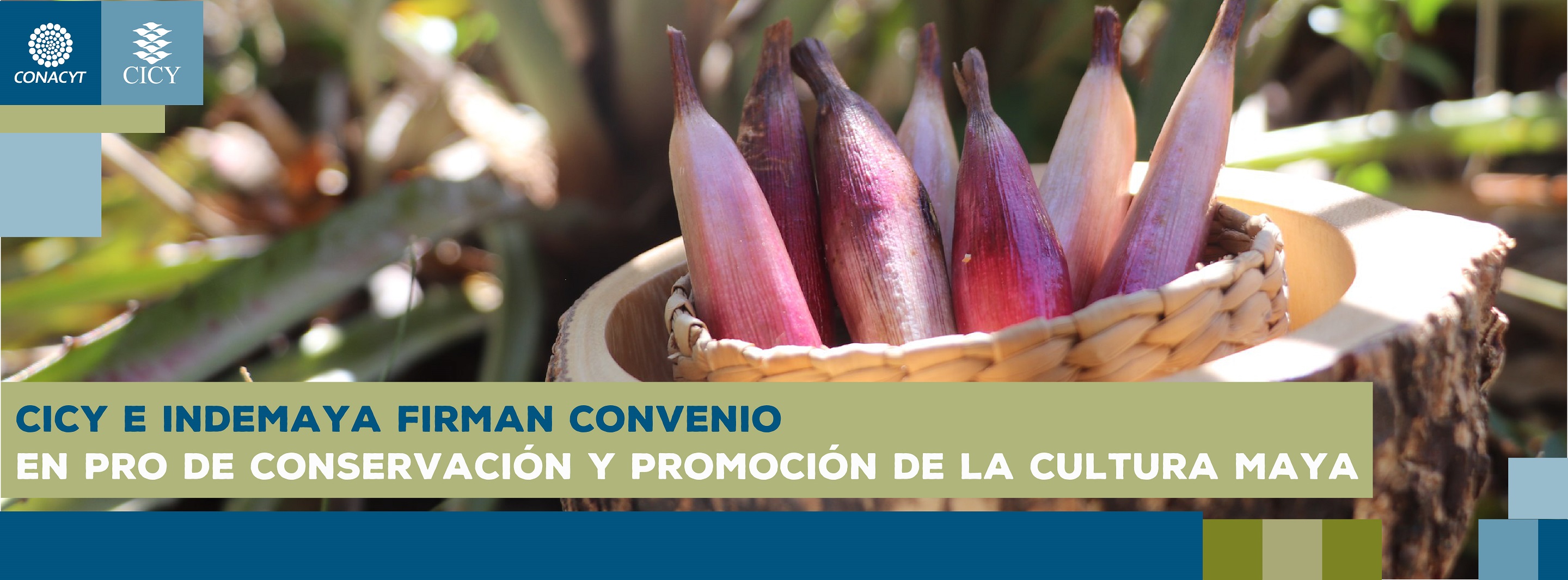 CICY e Indemaya firman convenio en pro de conservación y promoción de la cultura maya