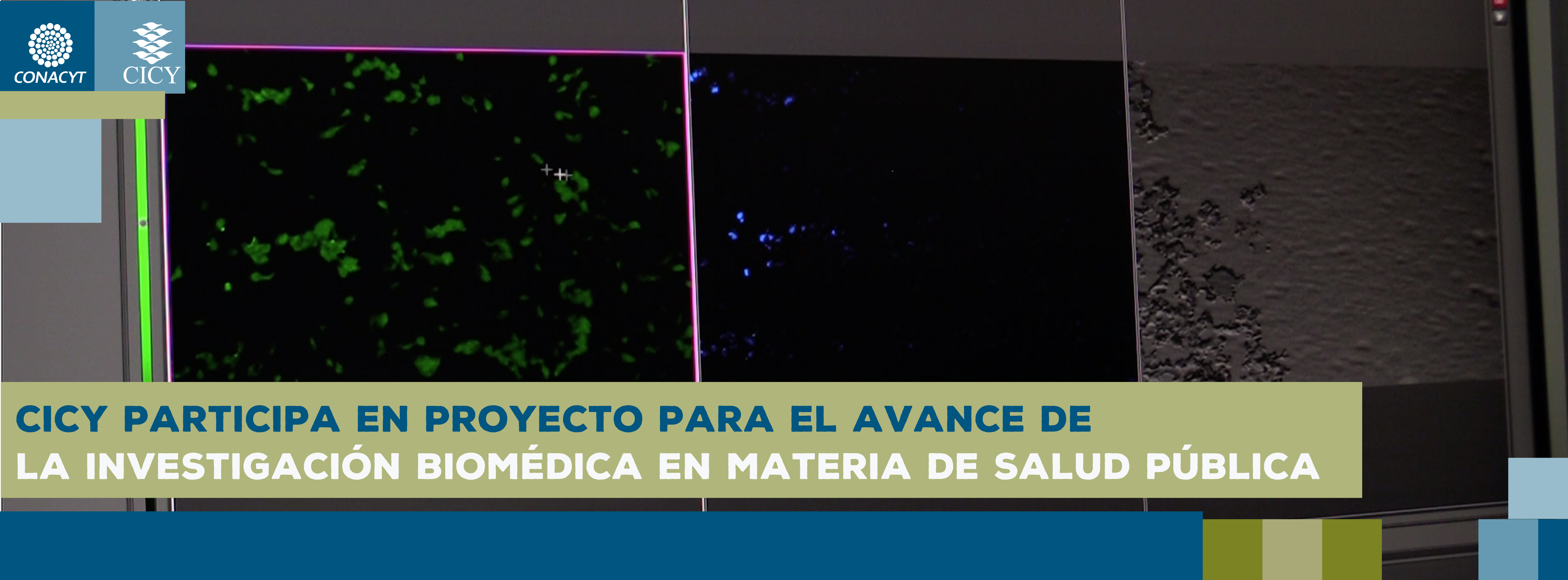 ICY participa en proyecto para el avance de la investigación biomédica 