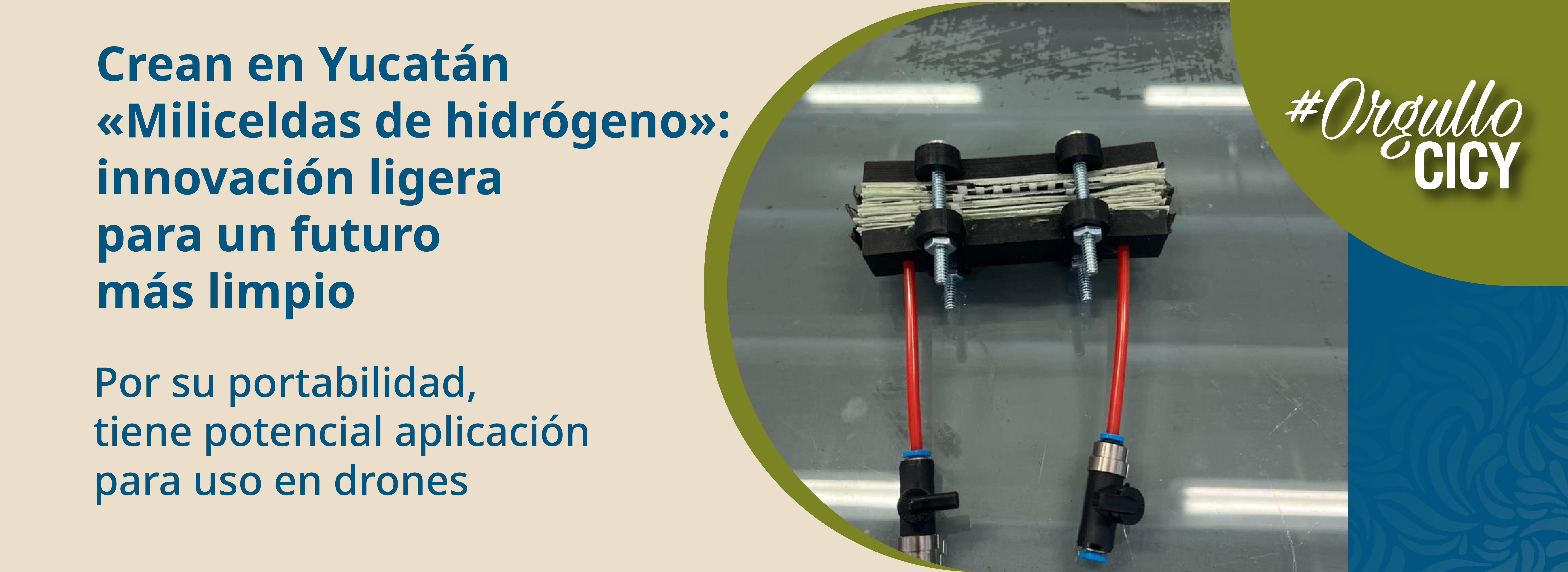 2025_11_24_Miliceldas