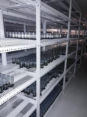 Foto10 Biofábrica