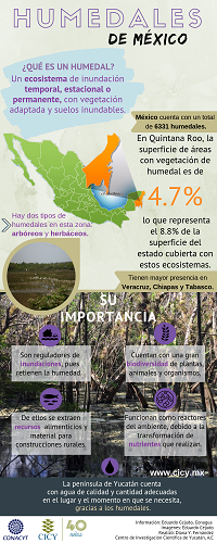 Infografías