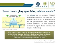 Infografías