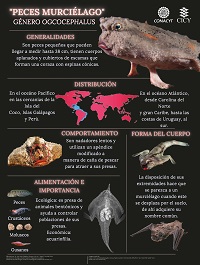 Infografías