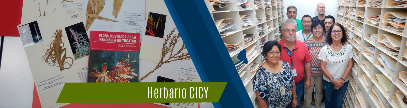 Herbario CICY