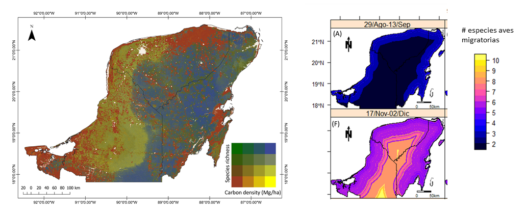 Estimación y mapeo de la biodiversidad y la biomasa y evaluación del impacto del cambio global en los ecosistemas terrestres de la Península de Yucatán