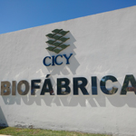 Biofábrica