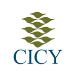 CICY