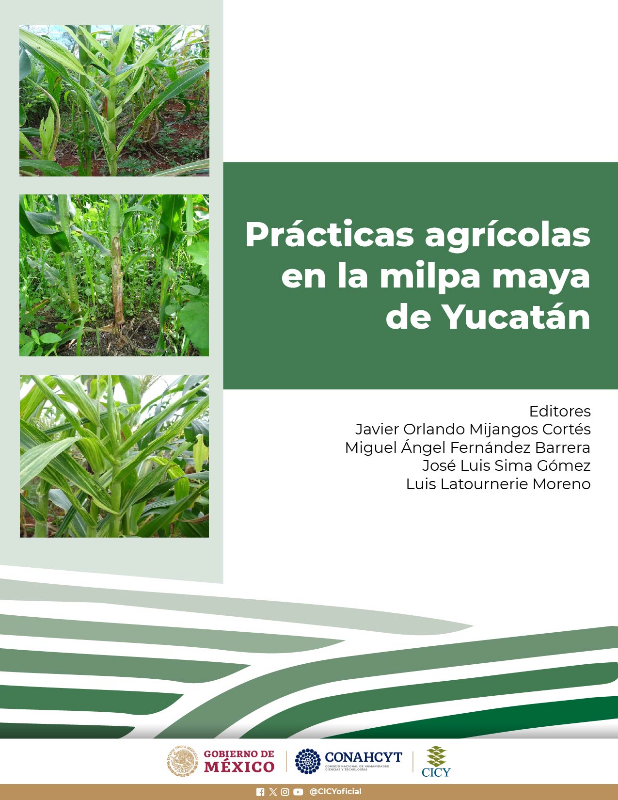 Prácticas agrícolas en la milpa maya