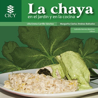 recetario chaya