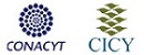 Sitio web del CICY