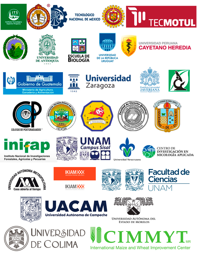 instituciones internacionales