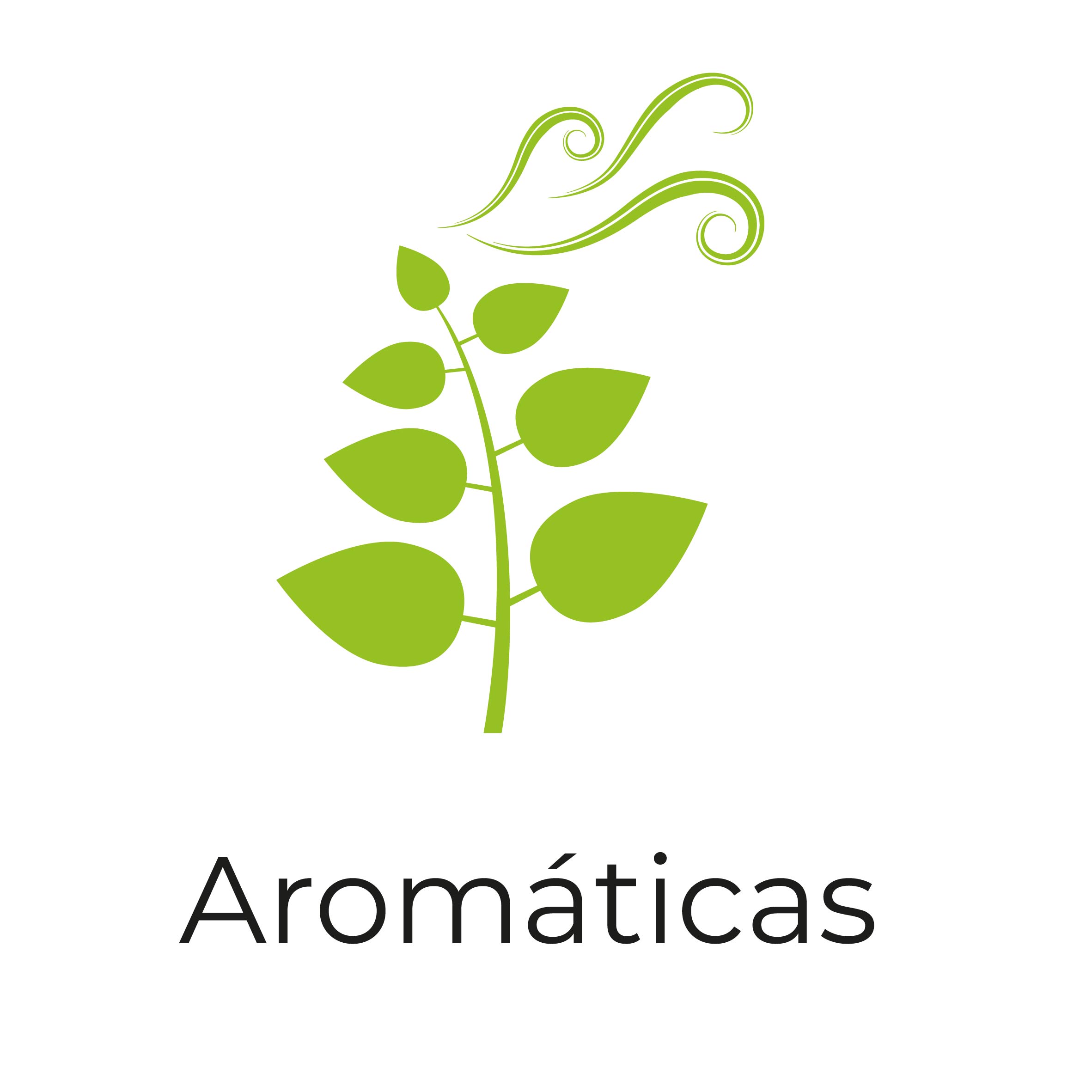 Aromaticas