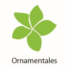 Ornamentales