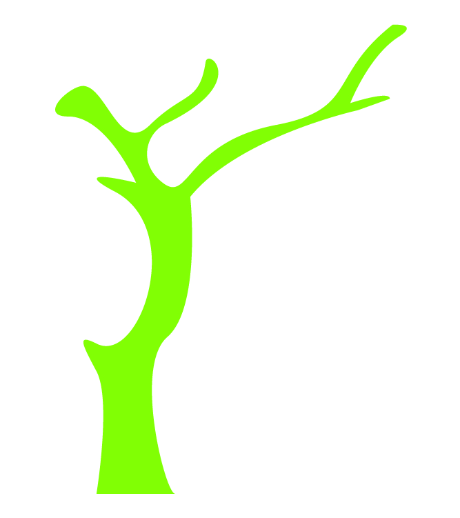 Selva-seca
