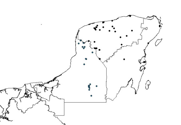 flora península de yucatán mapa de sudamerica para colorear